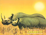 EshaDuro