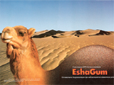 EshaGum