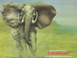 EshaProof